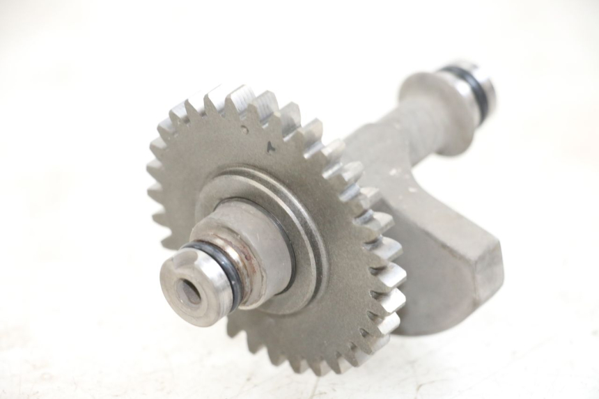 photo de MOTORHALTER SHERCO CITY CORP 125 (2003 - 2007) - Detailansicht des Bauteils