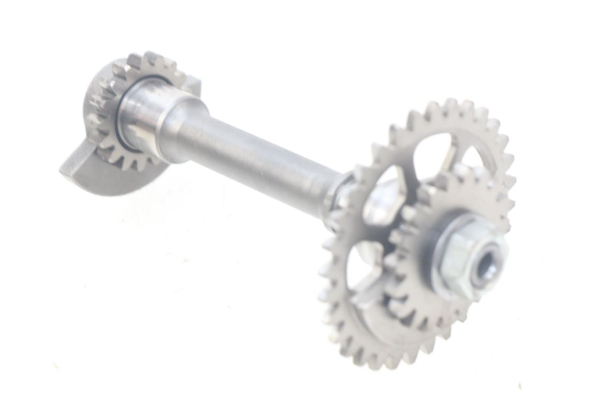 photo de MOTORHALTERUNG HONDA CRF 250 (2016 - 2017) - Hauptansicht