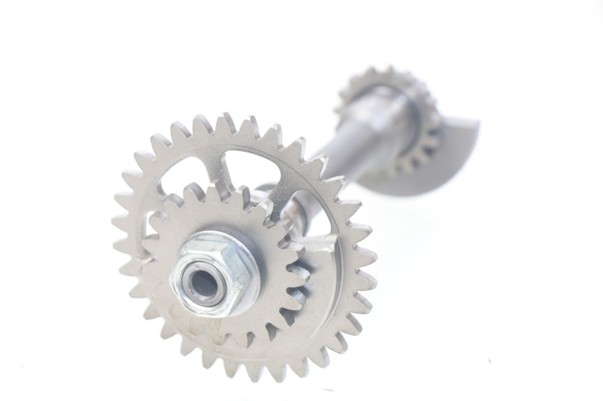 photo de MOTORHALTERUNG HONDA CRF 250 (2016 - 2017) - Zoom auf Gebrauchszustand