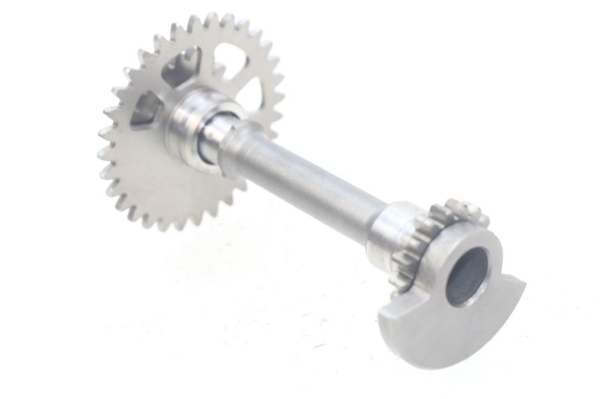 photo de MOTORHALTERUNG HONDA CRF 250 (2016 - 2017) - Alternative Perspektive