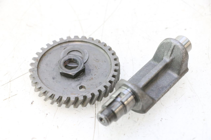 photo de MOTORHALTER HM HONDA DERAPAGE 50 (2007 - 2009) - Hauptansicht
