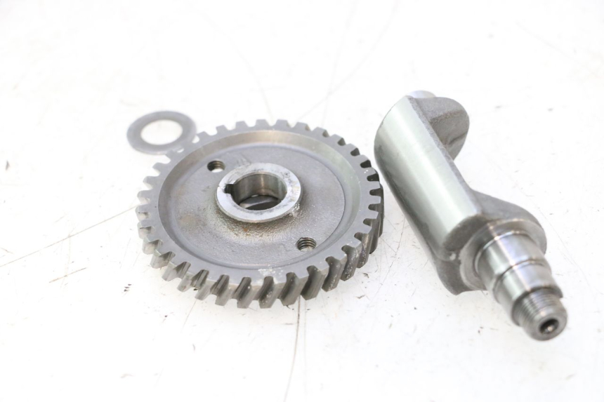 photo de MOTORHALTER HM HONDA DERAPAGE 50 (2007 - 2009) - Alternative Perspektive