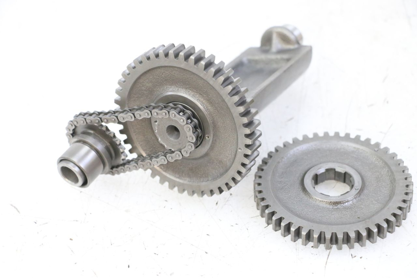 photo de MOTORHALTER HONDA MTX TC02 125 (1987 - 1989) - Hauptansicht