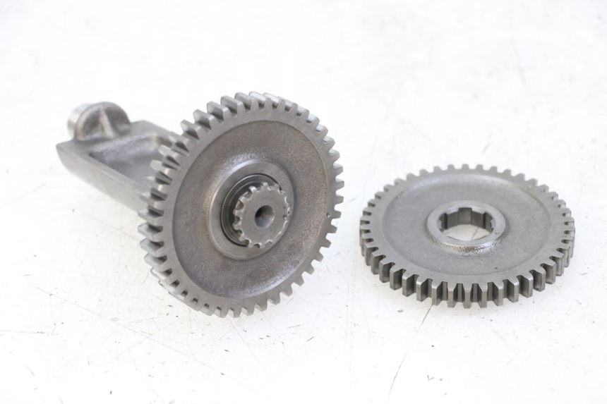 photo de MOTORHALTER HONDA MTX TC02 125 (1987 - 1989) - Alternative Perspektive