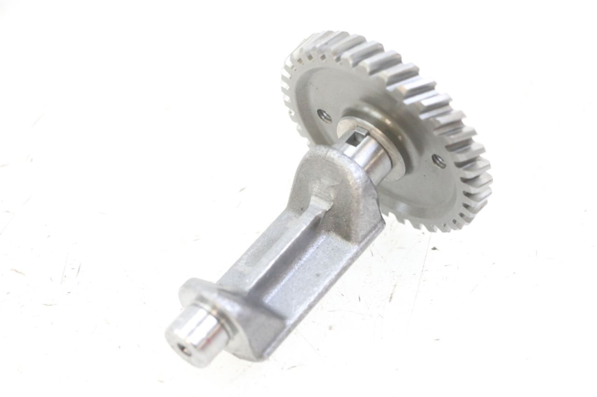 photo de MOTORHALTER MBK X-LIMIT XLIMIT 50 (2007 - 2012) - Zoom auf Gebrauchszustand