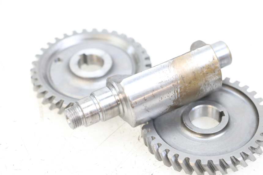 photo de MOTORHALTERUNG RIEJU MRT 50 (2009 - 2017) - Technische Nahaufnahme