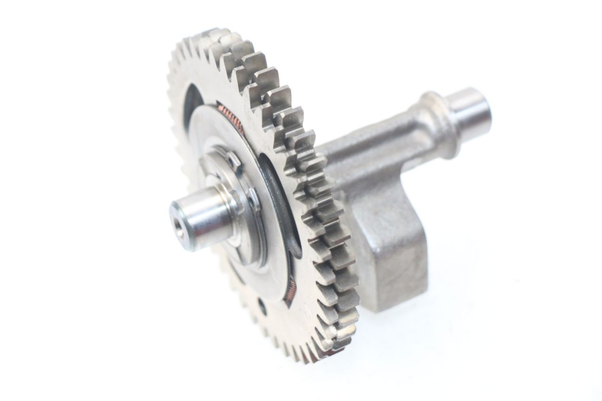 photo de MOTORHALTER HONDA NSS EX FORZA 250 (2005 - 2013) - Hauptansicht