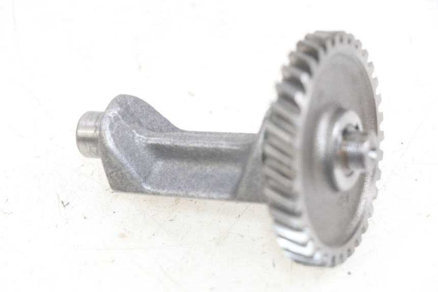 photo de MOTORHALTERUNG SHERCO SM-R 50 (2018 - 2021) - Hauptansicht