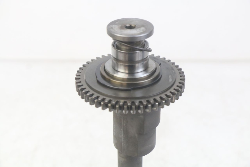 photo de MOTORHALTERUNG TRIUMPH SPRINT ST 955 (1999 - 2001) - Zoom auf Gebrauchszustand