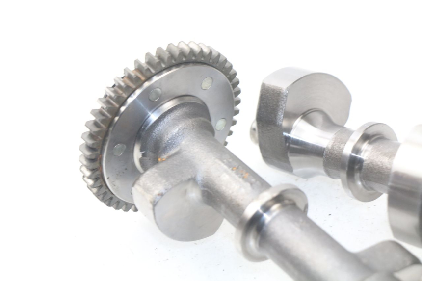 photo de MOTORHALTER YAMAHA TDM ABS 900 (2002 - 2014) - Alternative Perspektive