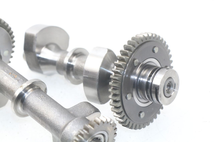 photo de MOTORHALTER YAMAHA TDM ABS 900 (2002 - 2014) - Gesamtansicht des Produkts