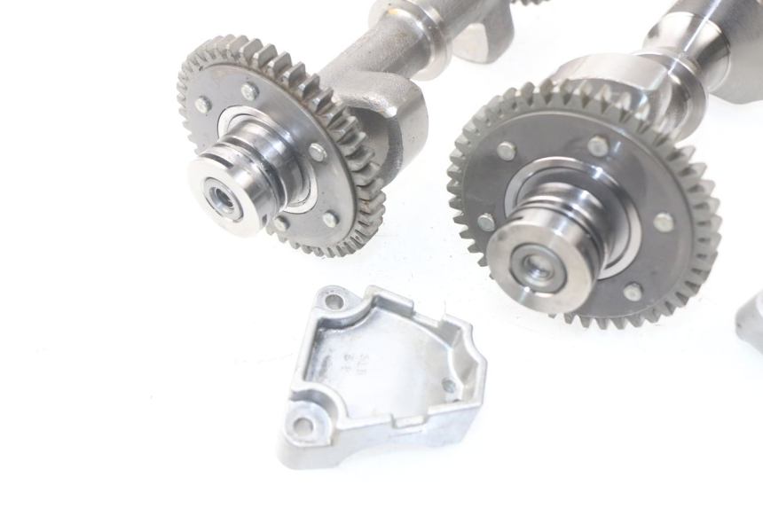 photo de MOTORHALTER YAMAHA TDM ABS 900 (2002 - 2014) - Kennzeichnungen und Originalreferenzen