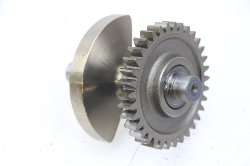 photo de MOTORHALTERUNG HONDA TRX 300 (1988 - 2000) - Hauptansicht