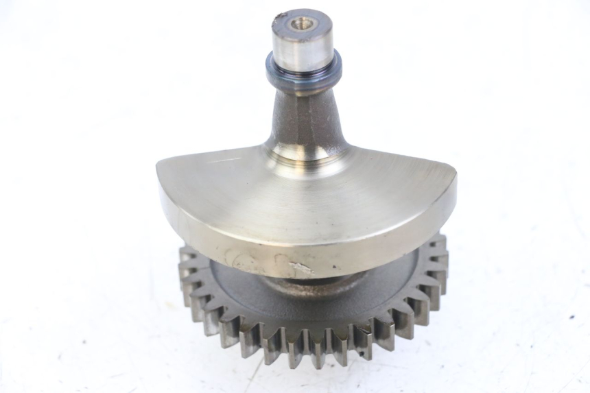 photo de MOTORHALTERUNG HONDA TRX 300 (1988 - 2000) - Zoom auf Gebrauchszustand