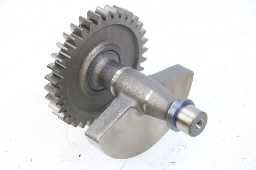 photo de MOTORHALTERUNG HONDA TRX 300 (1988 - 2000) - Alternative Perspektive