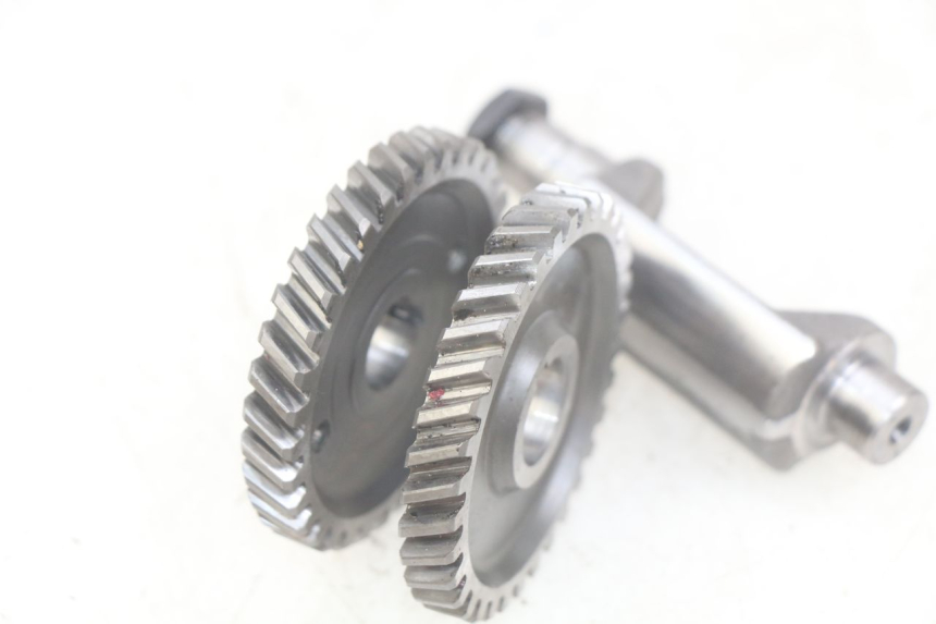 photo de MOTORHALTERUNG PEUGEOT XP6 50 (2006 - 2011) - Zoom auf Gebrauchszustand