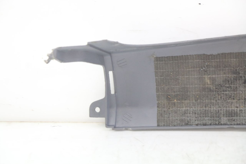 photo de RECHTER HINTERER SEITENSCHWELLER HONDA FES PANTHEON 2T 125 (1998 - 2002) - Zoom auf Gebrauchszustand