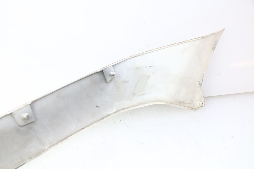 photo de LINKER HINTERER KOTFLüGEL LINKS PIAGGIO VESPA GTS IGET ABS 125 (2017 - 2023) - Gesamtansicht des Produkts