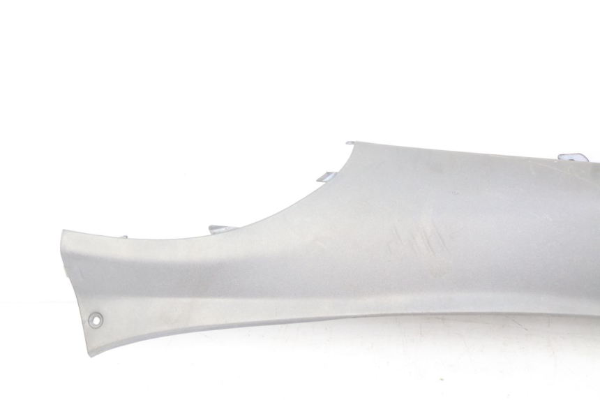 photo de LINKER HINTERER KOTFLüGEL LINKS PIAGGIO X9 EVOLUTION 125 (2003 - 2007) - Gesamtansicht des Produkts