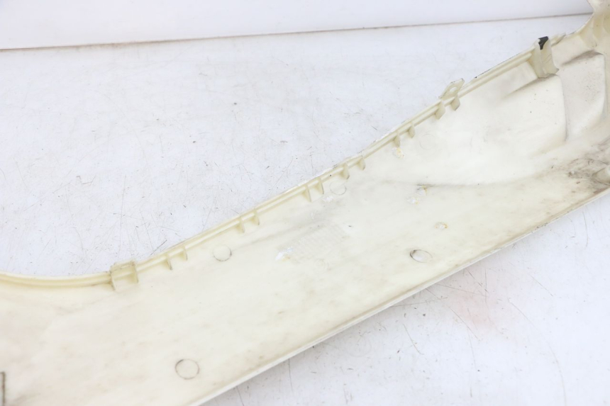 photo de RECHTER SEITENSCHWELLER JONWAY AZTRAL 125 (2008 - 2017) - Alternative Perspektive