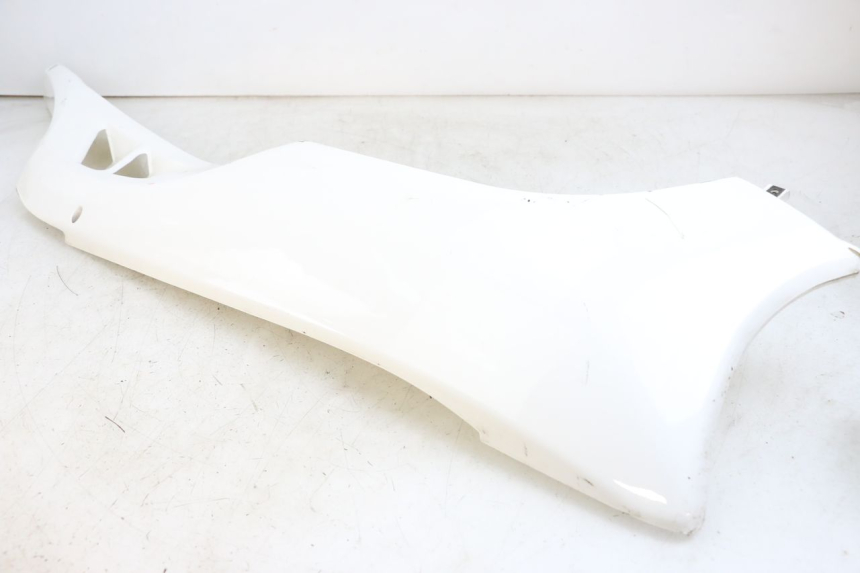 photo de RECHTER SEITENSCHWELLER JONWAY AZTRAL 125 (2008 - 2017) - Oberflächenzustand und Material