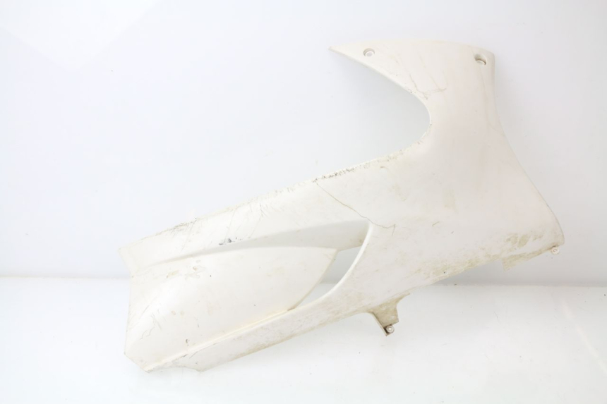 photo de UNTERBODEN RECHTS PEUGEOT JET FORCE CARBU 50 (2003 - 2016) - Hauptansicht