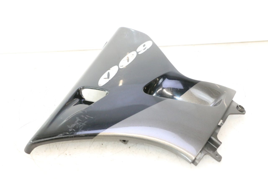 photo de UNTERBODEN RECHTS KAWASAKI ZZR 600 (1995 - 2004) - Gesamtansicht des Produkts