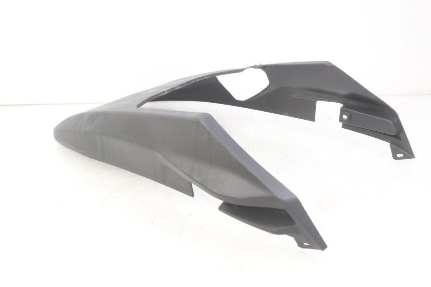 photo de UNTERFAHRSCHUTZ JM MOTORS EVOLIS 4T 50 (2018 - 2022) - Alternative Perspektive