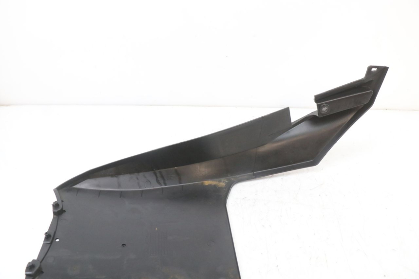 photo de UNTERFAHRSCHUTZ JM MOTORS EVOLIS 4T 50 (2018 - 2022) - Alternative Perspektive