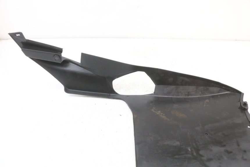 photo de UNTERFAHRSCHUTZ JM MOTORS EVOLIS 4T 50 (2018 - 2022) - Technische Nahaufnahme