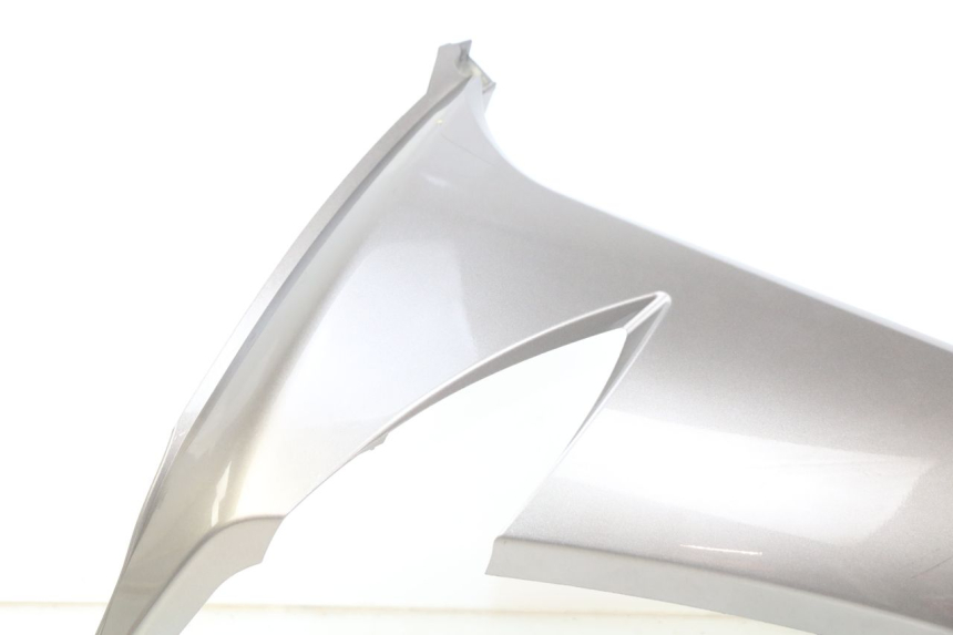 photo de LINKER UNTERE SEITENVERKLEIDUNG PEUGEOT CITYSTAR AIR 125 (2014 - 2017) - Details der Befestigungspunkte