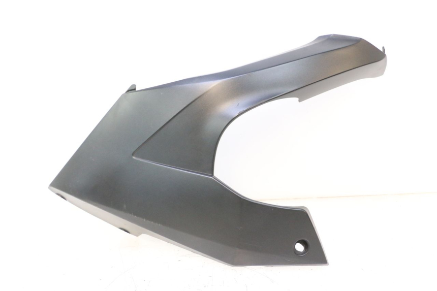 photo de LINKE SCHWELLERVERKLEIDUNG KAWASAKI ER-6 ER6 F ABS 650 (2012 - 2016) - Hauptansicht