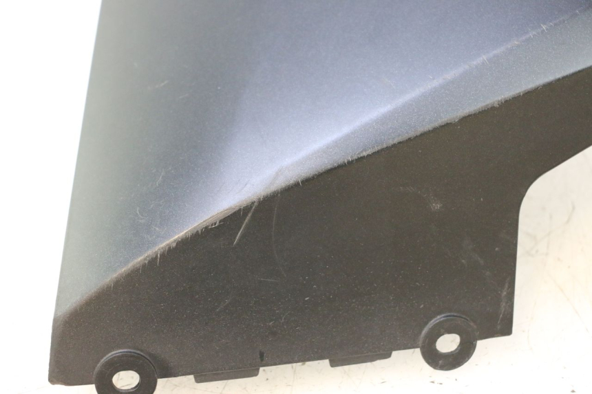 photo de LINKE SCHWELLERVERKLEIDUNG KAWASAKI ER-6 ER6 F ABS 650 (2012 - 2016) - Charakteristische Merkmale