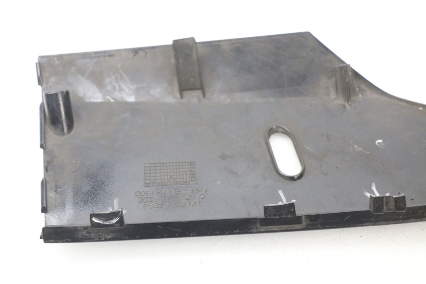 photo de UNTERBODEN LINKS HONDA FES S-WING SWING 125 (2007 - 2015) - Alternative Perspektive