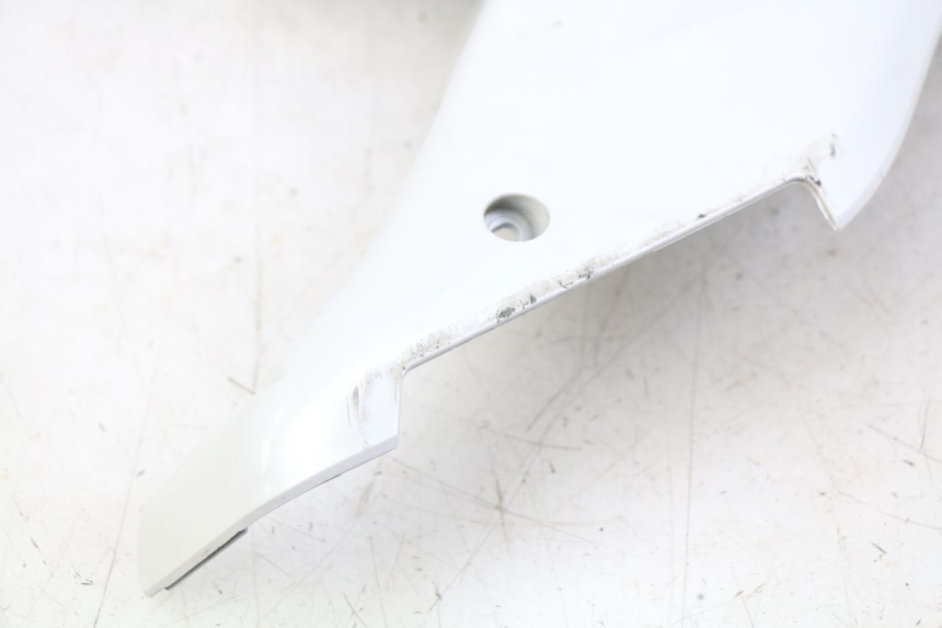 photo de LINKER UNTERE SEITENVERKLEIDUNG DAELIM S3 125 (2010 - 2017) - Geprüftes Gebrauchtteil