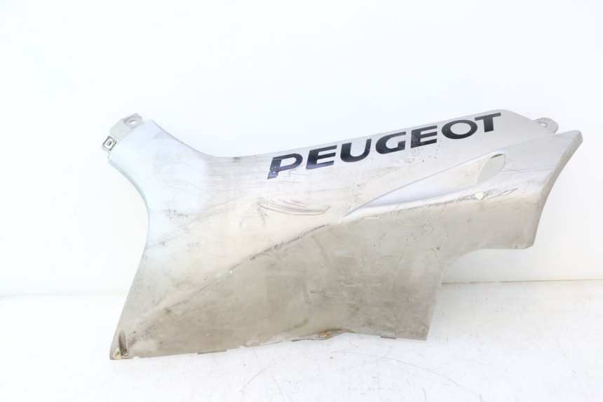 photo de UNTERBODEN LINKS PEUGEOT SPEEDFIGHT LC 50 (1996 - 2002) - Hauptansicht
