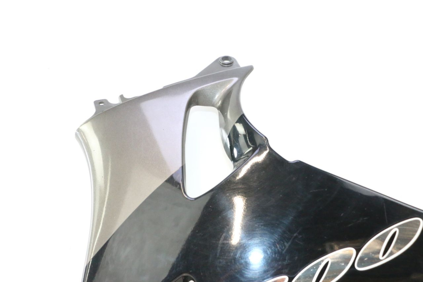 photo de UNTERBODEN LINKS KAWASAKI ZZR 600 (1995 - 2004) - Alternative Perspektive