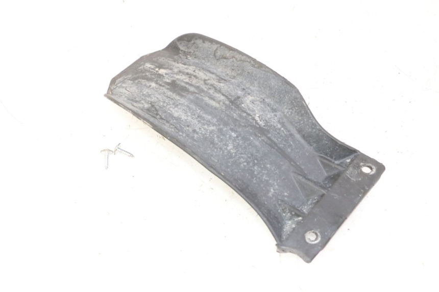 photo de SPRITZSCHUTZ RIEJU MRT 50 (2018 - 2021) - Alternative Perspektive