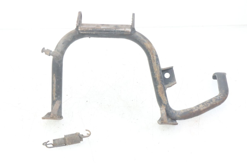 photo de MITTLERER STäNDER PIAGGIO X9 EVOLUTION 250 (2003 - 2007) - Hauptansicht