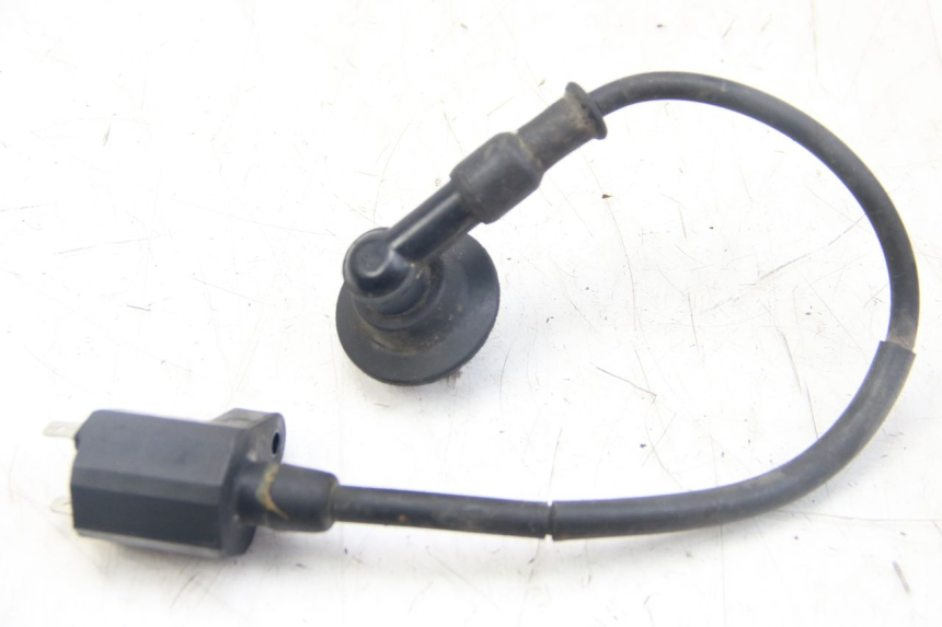 photo de ZüNDSPULE PGO BIG MAX 50 (2001 - 2009) - Hauptansicht