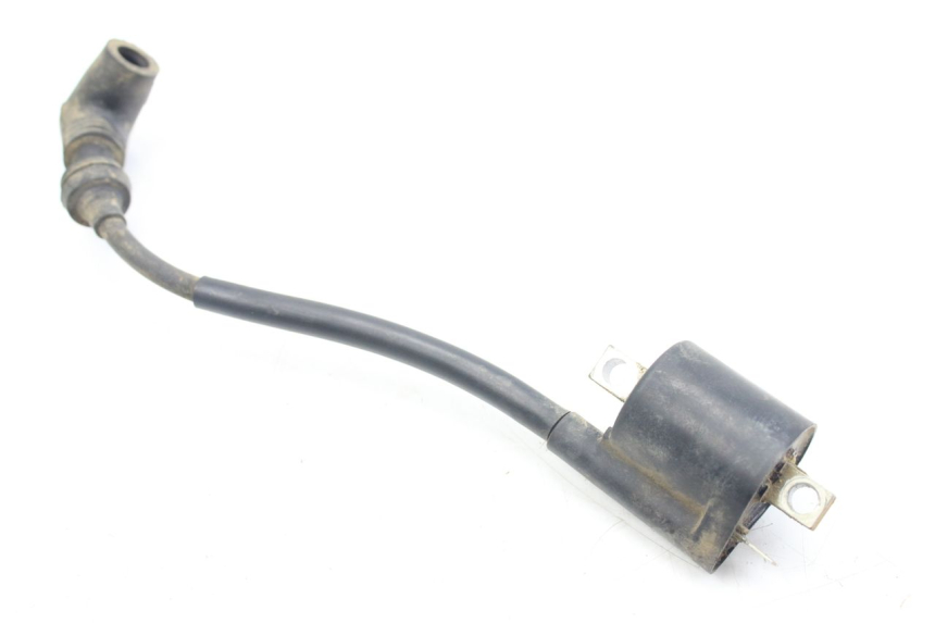 photo de ZÜNDSPULE YAMAHA BLASTER 200 (2003 - 2007) - Hauptansicht