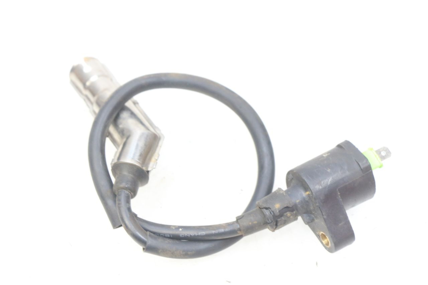 photo de ZüNDSPULE BAOTIAN BT 50 QT-12 50 (2007 - 2009) - Alternative Perspektive