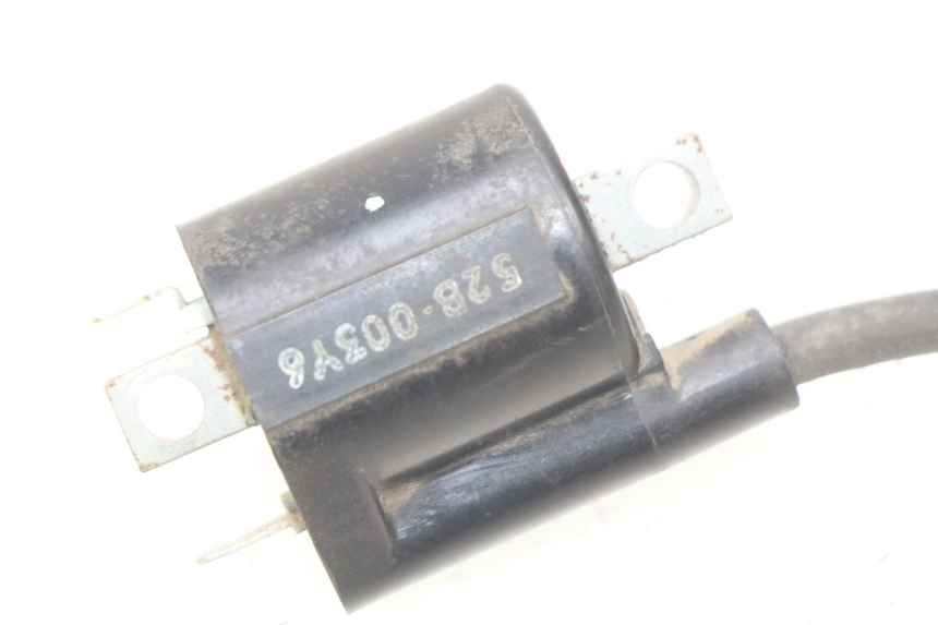 photo de ZüNDSPULE YAMAHA D'ELIGHT DELIGHT 115 (2013 - 2017) - Zoom auf Gebrauchszustand