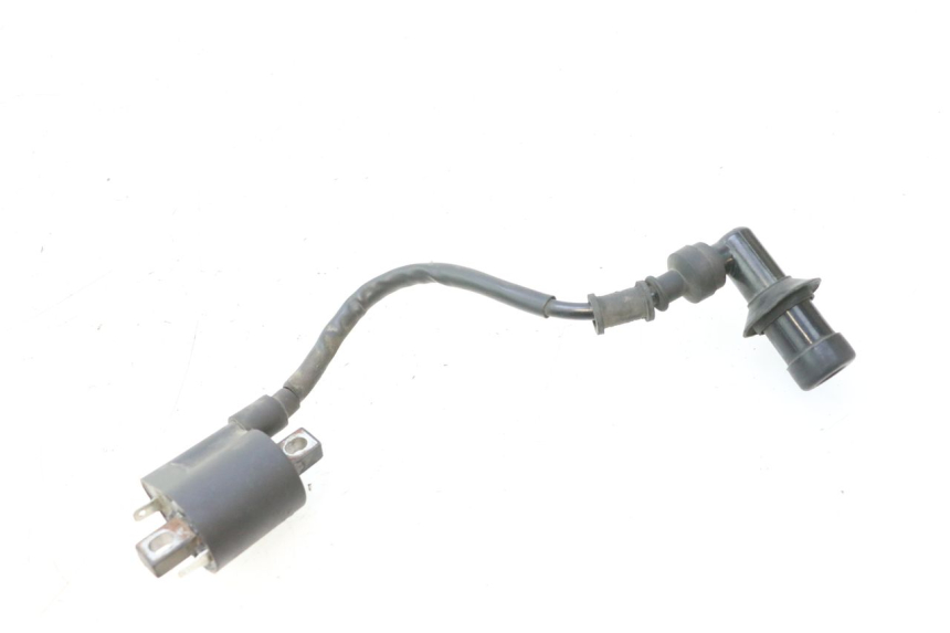 photo de ZüNDSPULE JM MOTORS F45i 4T 50 (2020 - 2023) - Hauptansicht
