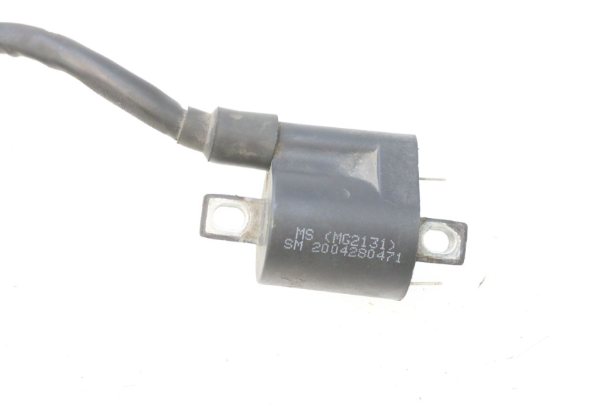 photo de ZüNDSPULE JM MOTORS F45i 4T 50 (2020 - 2023) - Gesamtansicht des Produkts