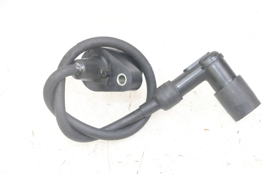 photo de ZÜNDSPULE PEUGEOT JET FORCE CARBU 50 (2003 - 2016) - Zoom auf Gebrauchszustand