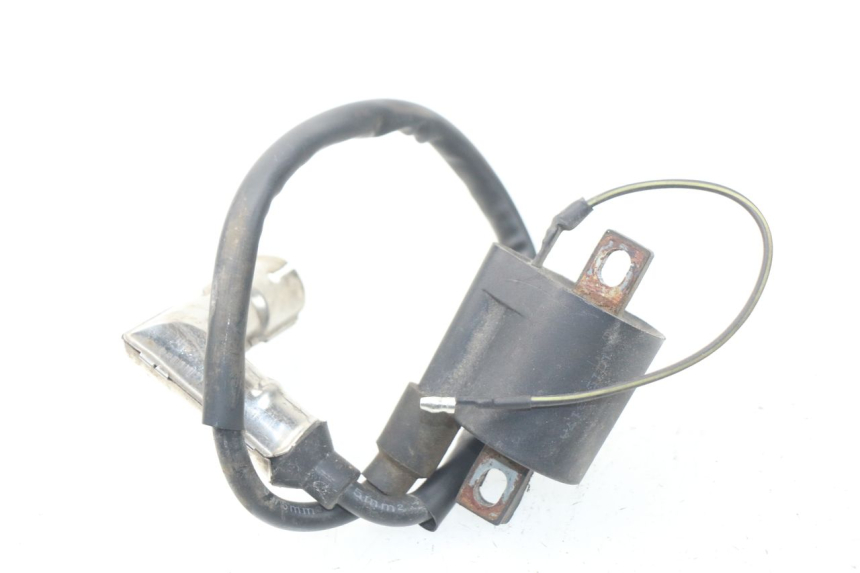 photo de ZÜNDSPULE YAMASAKI MSX 50 (2013 - 2022) - Zoom auf Gebrauchszustand