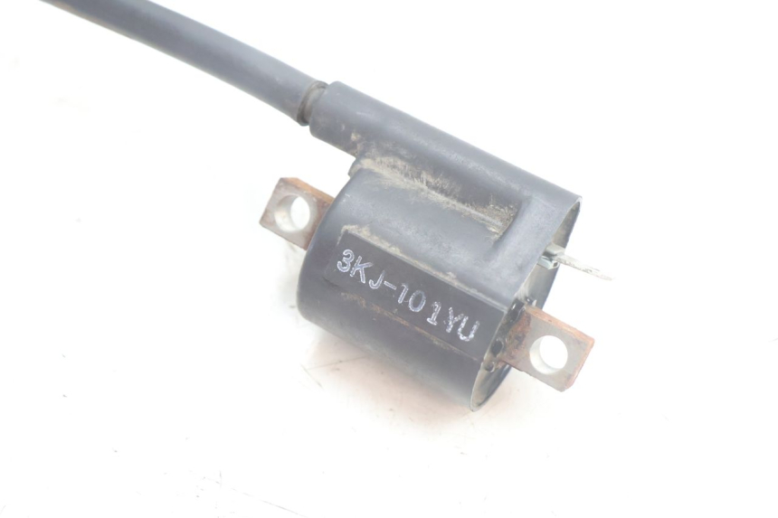 photo de ZÜNDSPULE YAMAHA NEO'S NEOS 2T 50 (1998 - 2007) - Zoom auf Gebrauchszustand
