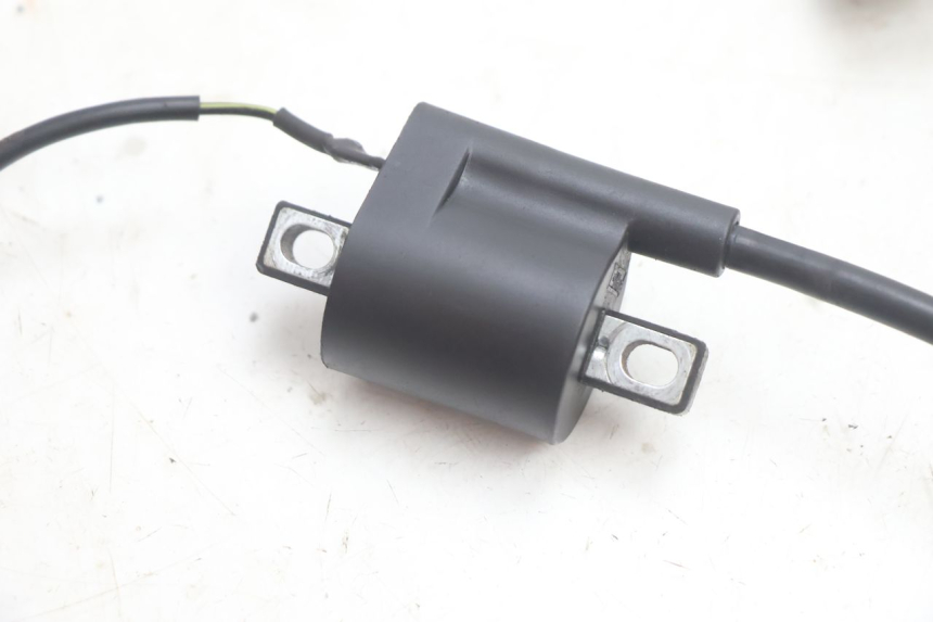 photo de ZÜNDSPULE IMF INDUSTRIE NEW PACH 2T 50 (2014 - 2020) - Zoom auf Gebrauchszustand