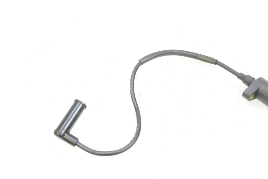 photo de ZüNDSPULE JM MOTORS OLDIES 4T 50 (2010 - 2020) - Alternative Perspektive